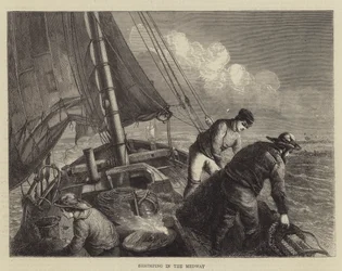 Garnalen vissen in de Medway